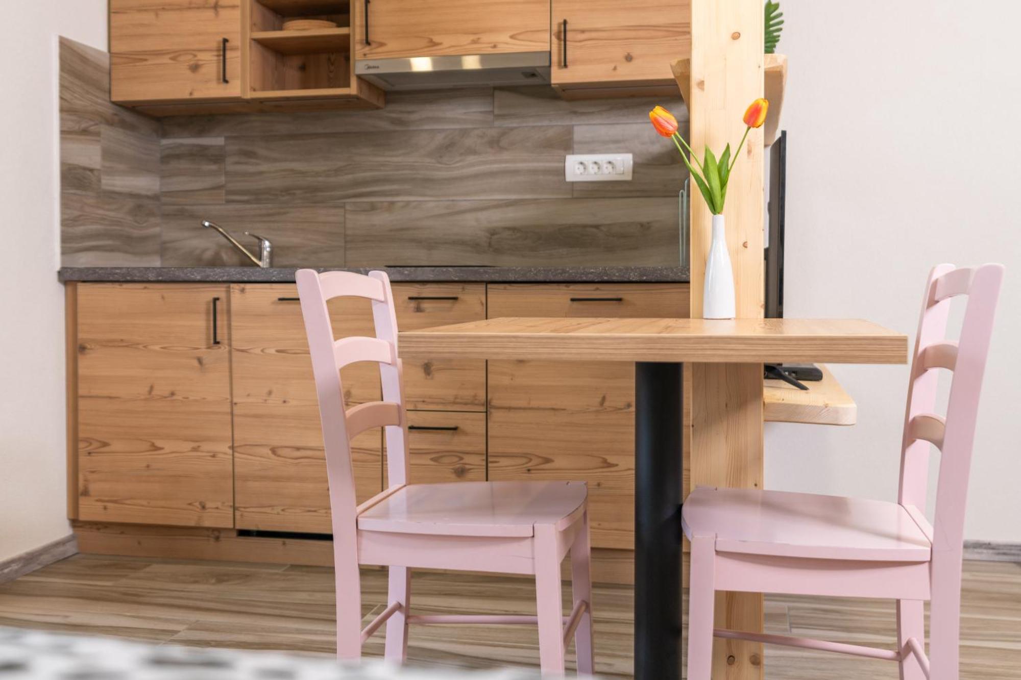 Apartmaji Hodak 보히니 객실 사진