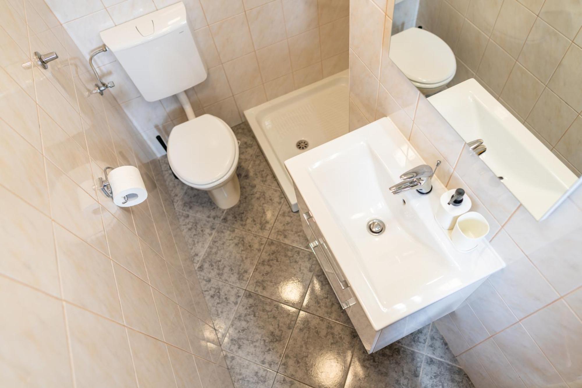 Apartmaji Hodak 보히니 객실 사진