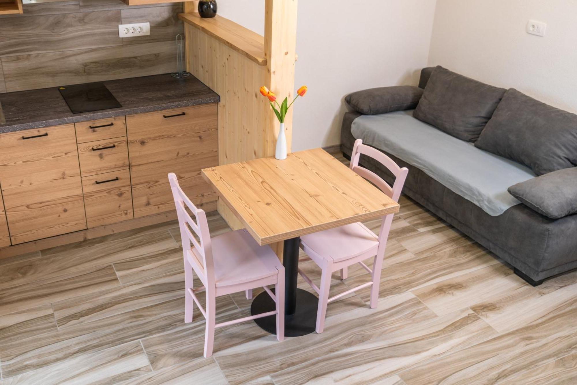 Apartmaji Hodak 보히니 객실 사진
